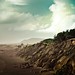 Summer Beach Photo 28