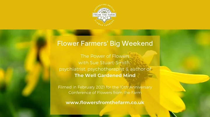Sue Flowers Photo 28