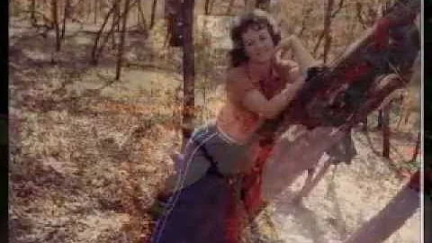 Darlene Parker Photo 39