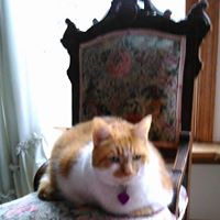 Nancy Robinson Photo 8