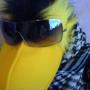 Russell Crow Photo 26