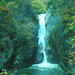 Loan Vu Photo 34