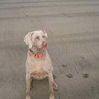 Barbara Ridgeway Photo 2