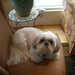 Jack Allison Photo 40