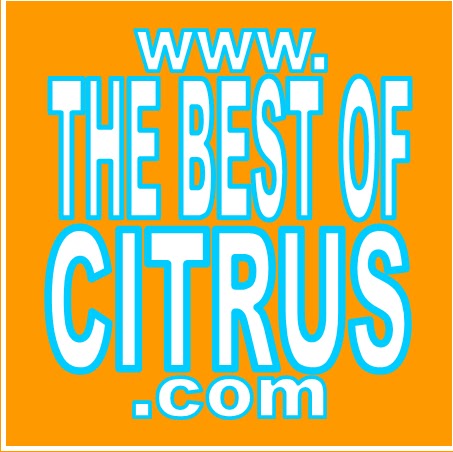 Curtis Lewis Photo 13