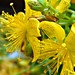 John Swart Photo 38