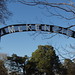 Joseph Mckenzie Photo 41