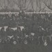 Ramon Escamilla Photo 32