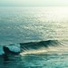 Summer Beach Photo 26