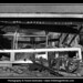 William Petri Photo 29