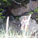Kristin Wolfe Photo 39
