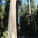 Reed Simpson Photo 24