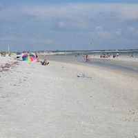 Lisa Reeder Photo 7