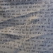 Julie Seltzer Photo 16