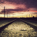 Manuel Griego Photo 31