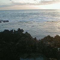 Roxanne Bell Photo 4