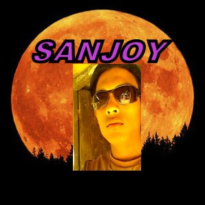 Sanjoy Roy Photo 9
