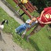 Michael Dashiell Photo 23