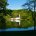 Kathy Fine Photo 33