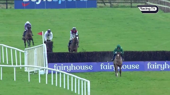 Willie Mullins Photo 33