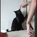 Fred Trent Photo 21