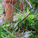 Robert Wils Photo 17