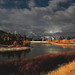 Rod Moran Photo 15