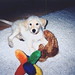 Buddy Henry Photo 29