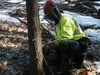 Michael Willard Photo 25