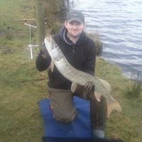 Sean Mcbride Photo 12