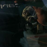 Jeremy Stoneburner Photo 1