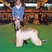 John Vowles Photo 22