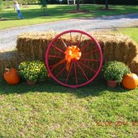 Lisa Ledford Photo 2