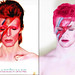 Jack Bowie Photo 27