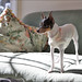 Ellie Fox Photo 33