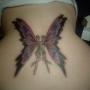 Rebecca Hays Photo 29