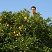 Jason Lemons Photo 40