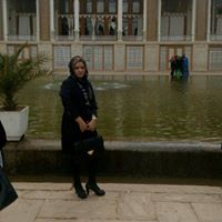 Seyed Alavi Photo 8