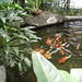 Steven Pond Photo 34