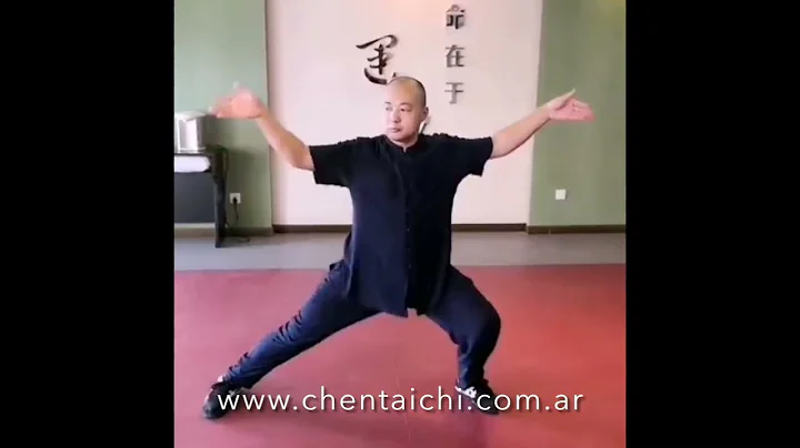 Chao Chen Photo 41