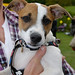 Barry Ellison Photo 27