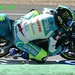 Patrick Jacobsen Photo 31