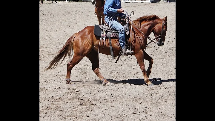 Brian Billings Photo 38