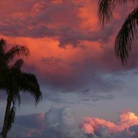Barbara Sommers Photo 2