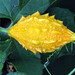 Thomas Breyer Photo 23