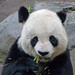 Yun Gao Photo 31