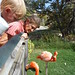 Linda Rowe Photo 39