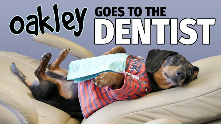 Buddy Oakley Photo 7