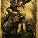 David Alfaro Photo 41