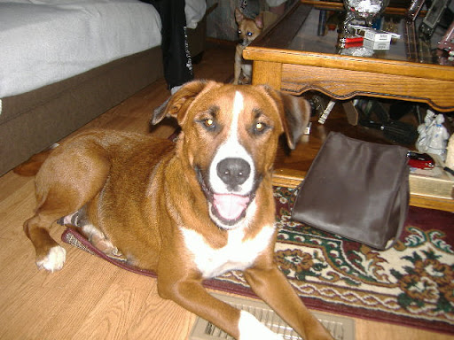 Peggy Lambert Photo 10